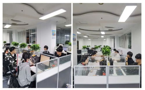 成都市成華區(qū)第七次全國(guó)人口普查咨詢熱線正式開通，為您提供便捷信息咨詢服務(wù)